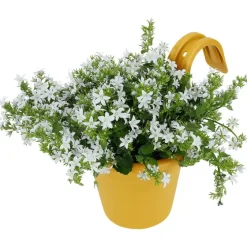 Merk Balkonbloempot^ Bloempotten