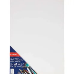 Van Bleiswijck Canvasdoeken-Set^ Schilderen