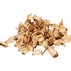 Merk Decoratieblaadjes^ Kunstplanten & -Bloemen