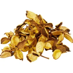 Merk Decoratieblaadjes^ Kunstplanten & -Bloemen