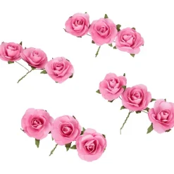 Disney Decoratieve Rozen^ Knutselen