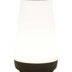 LSC Smart Connect Deluxa Touch Lamp^ Lampen