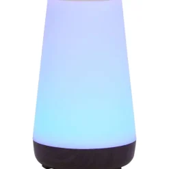 LSC Smart Connect Deluxa Touch Lamp^ Lampen
