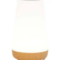 LSC Smart Connect Deluxa Touch Lamp^ Lampen
