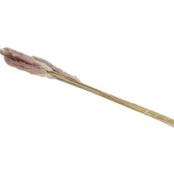 Green Boots Droogboeket^ Zaaien & Planten