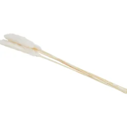 Green Boots Droogboeket^ Zaaien & Planten