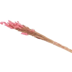 Green Boots Droogboeket^ Zaaien & Planten