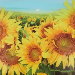 Merk Garden Collection Tuindoek^ Tuindecoratie