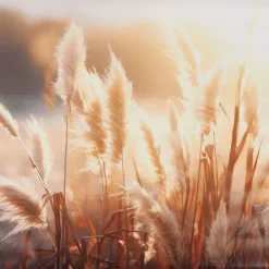 Merk Garden Collection Tuindoek^ Tuindecoratie