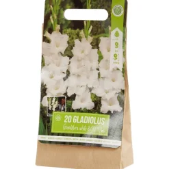 Green Boots Gladiolen Bloembollen^ Zaaien & Planten