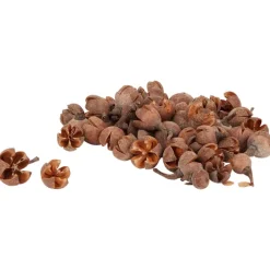 Merk Home Accents Decoratiemateriaal^ Woonaccessoires