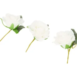Merk Home Accents Decoratierozen^ Kunstplanten & -Bloemen