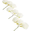Merk Home Accents Decoratieve Rozen^ Woonaccessoires