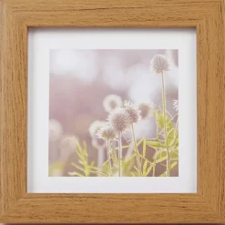 Merk Home Accents Fotolijst^ Fotolijstjes