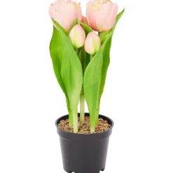 Merk Home Accents Kunsttulpen In Pot^ Kunstplanten & -Bloemen