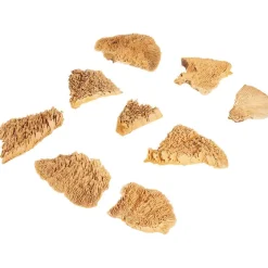 Merk Home Accents Natural Droogmix^ Kunstplanten & -Bloemen