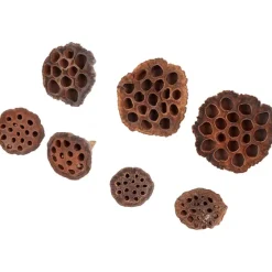 Merk Home Accents Natural Droogmix^ Kunstplanten & -Bloemen