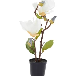 Merk Kunstmagnolia In Pot^ Kunstplanten & -Bloemen