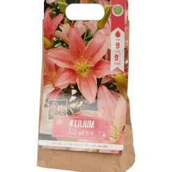 Green Boots Lelie Bloembollen^ Zaaien & Planten