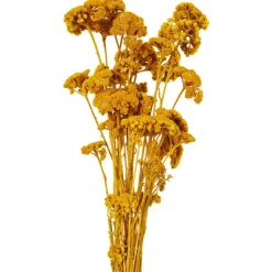 Merk Nederlandse Droog Kunstbloemen^ Kunstplanten & -Bloemen