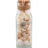 Merk Schelpen In Glazen Fles^ Woonaccessoires