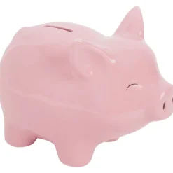 Office Essentials Spaarpot^ Bureau Accessoires