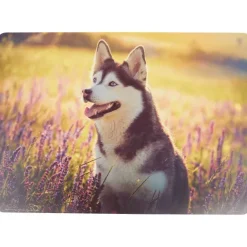 Royal Talens Teken- En Knutselplacemat^ Placemats